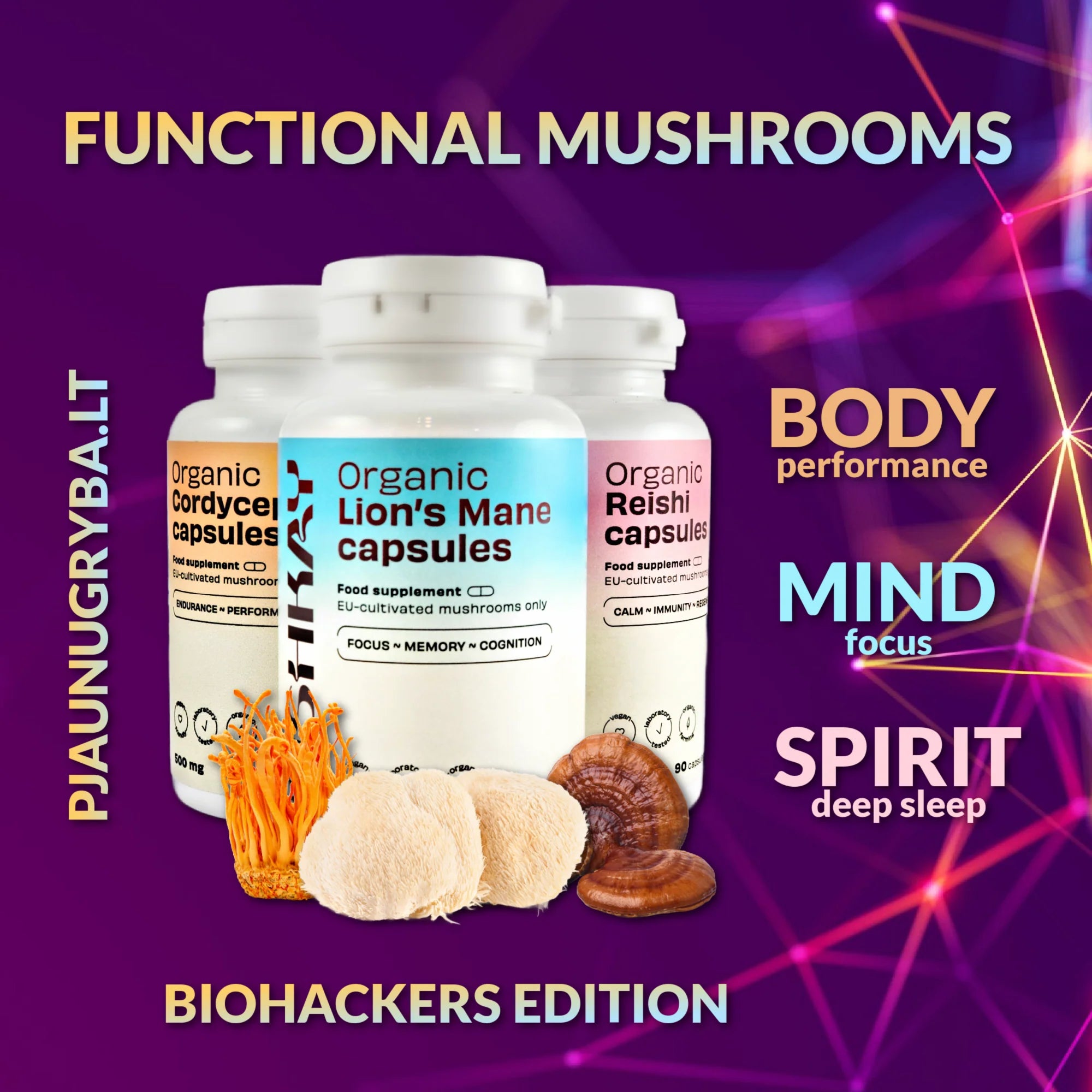 Biohacker's bundle (capsules)
