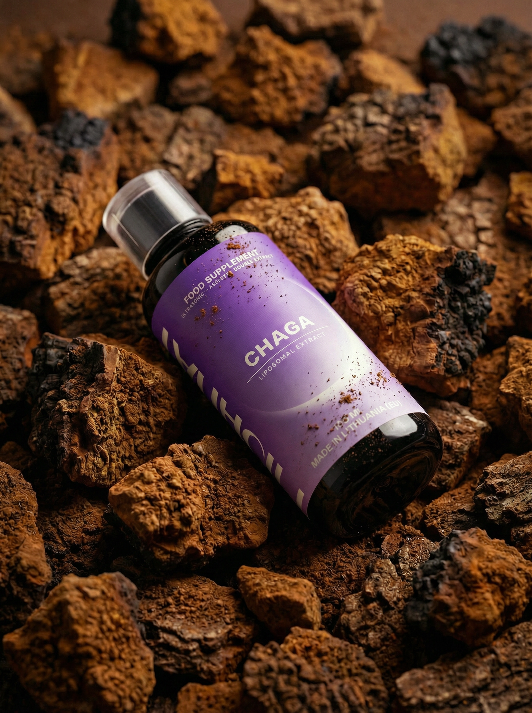 Liposomal Double-Extracted Chaga. 100 ml