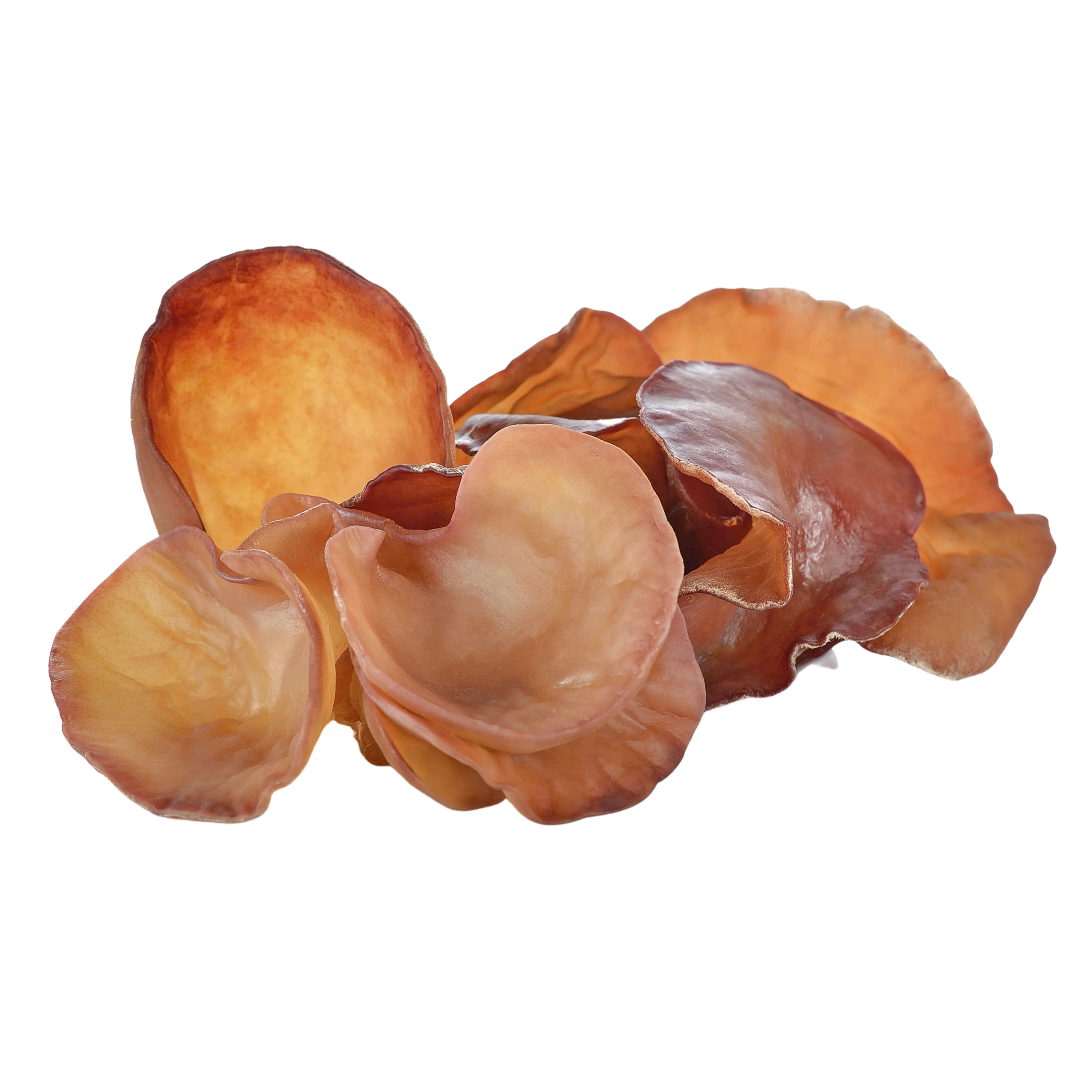 Organic Auricularia Powder PLUS+, 100g.