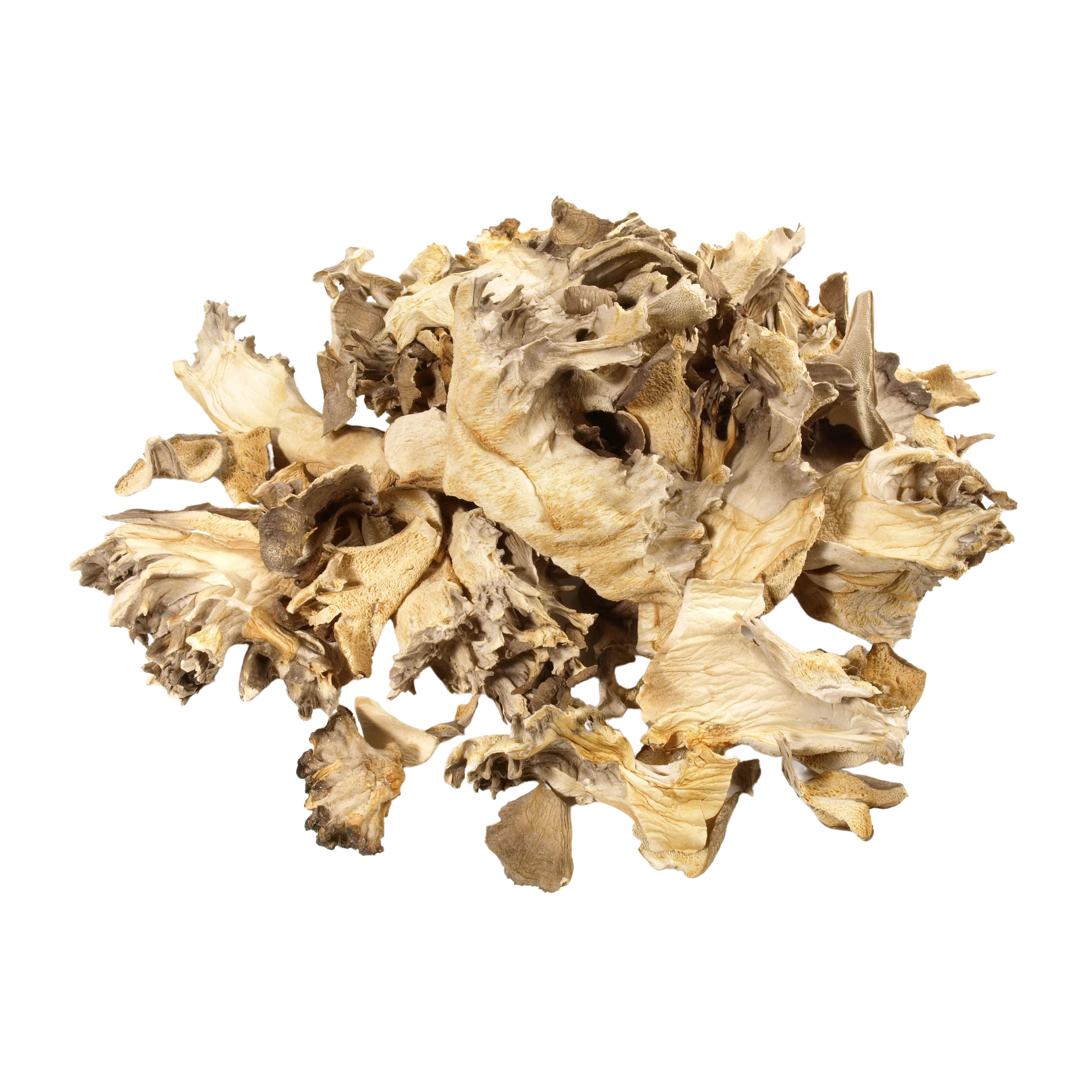 Organic Maitake PLUS+ Powder, 100g