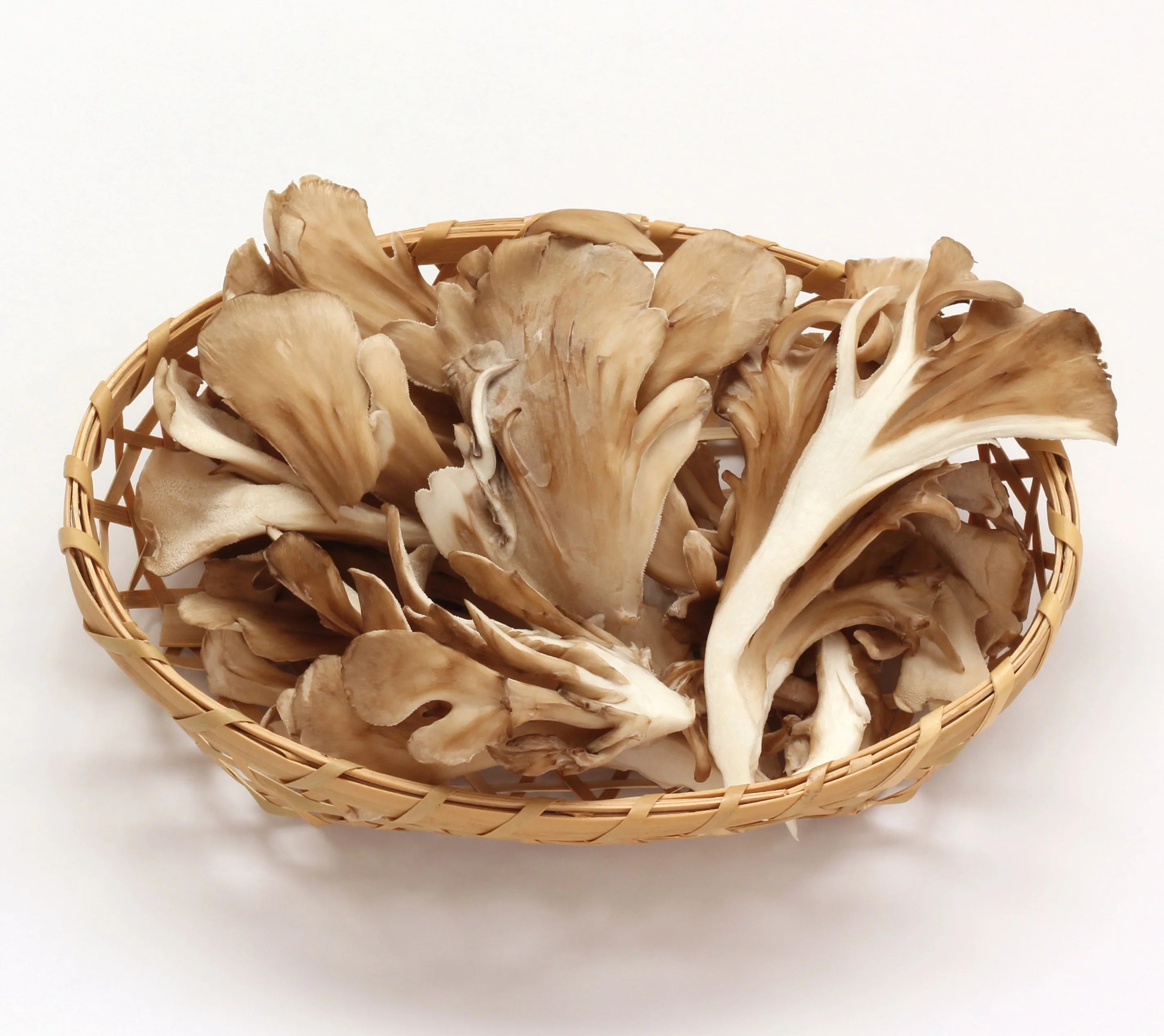 Organic Maitake PLUS+ Powder, 100g
